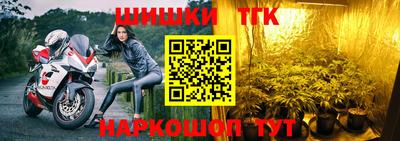 стафф Лесосибирск