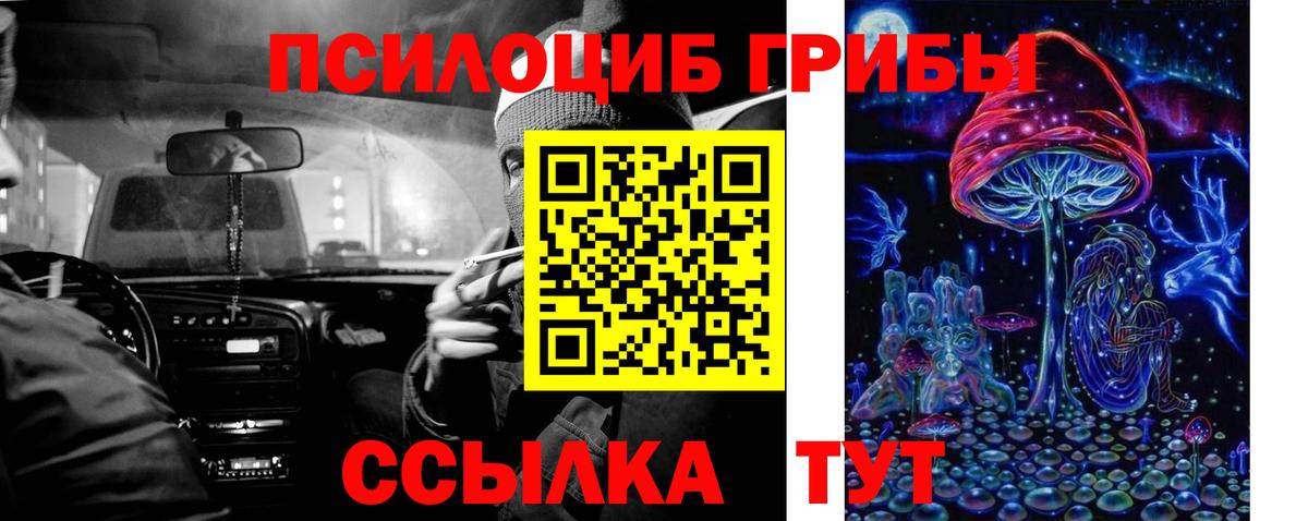 Галлюциногенные грибы GOLDEN TEACHER Шатура
