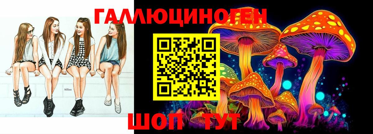 Псилоцибиновые грибы ЛСД  Вход с VPN  Псилоцибиновые грибы прущие грибы  купить наркотики сайты  Шатура 